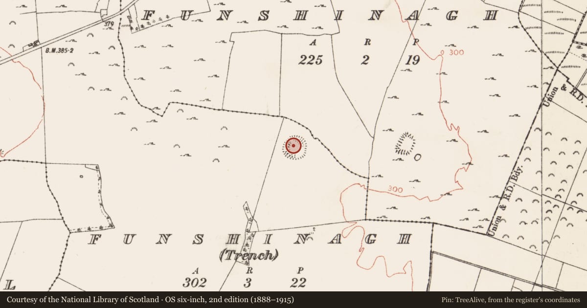 Ordnance Survey six-inch map, 2nd edition (1888–1915) covering the location of Ringfort - rath, Funshinagh (Trench), County Roscommon, with a pin at the register's coordinates
