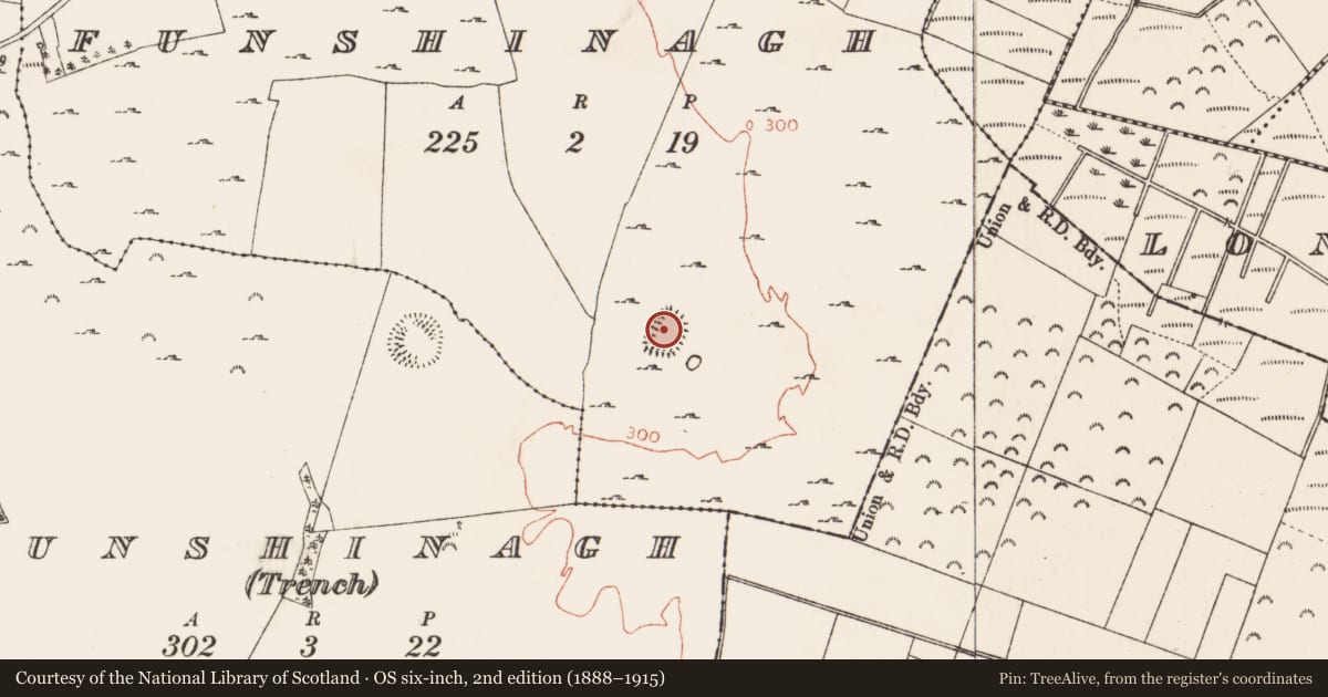 Ordnance Survey six-inch map, 2nd edition (1888–1915) covering the location of Ringfort - rath, Funshinagh, County Roscommon, with a pin at the register's coordinates