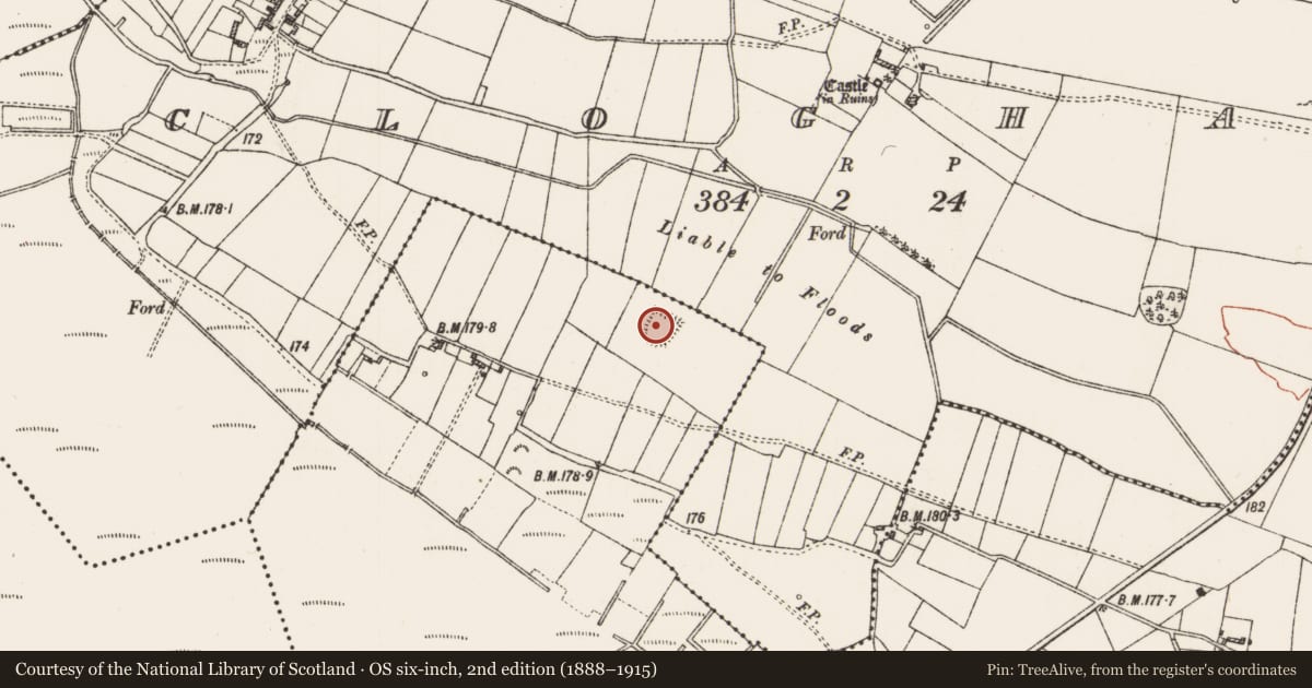 Ordnance Survey six-inch map, 2nd edition (1888–1915) covering the location of Enclosure, Curraghadoon, County Roscommon, with a pin at the register's coordinates