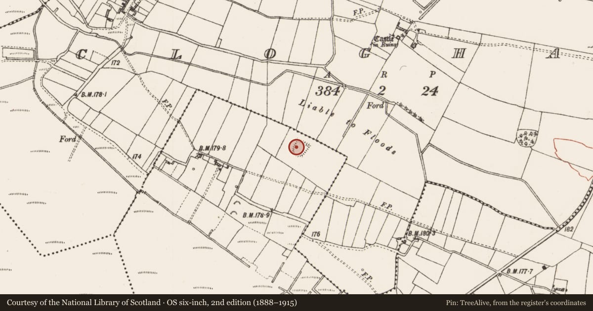 Ordnance Survey six-inch map, 2nd edition (1888–1915) covering the location of Church, Cloghan, Curraghadoon, County Roscommon, with a pin at the register's coordinates