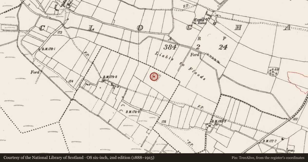 Ordnance Survey six-inch map, 2nd edition (1888–1915) covering the location of Children's burial ground, Curraghadoon, County Roscommon, with a pin at the register's coordinates