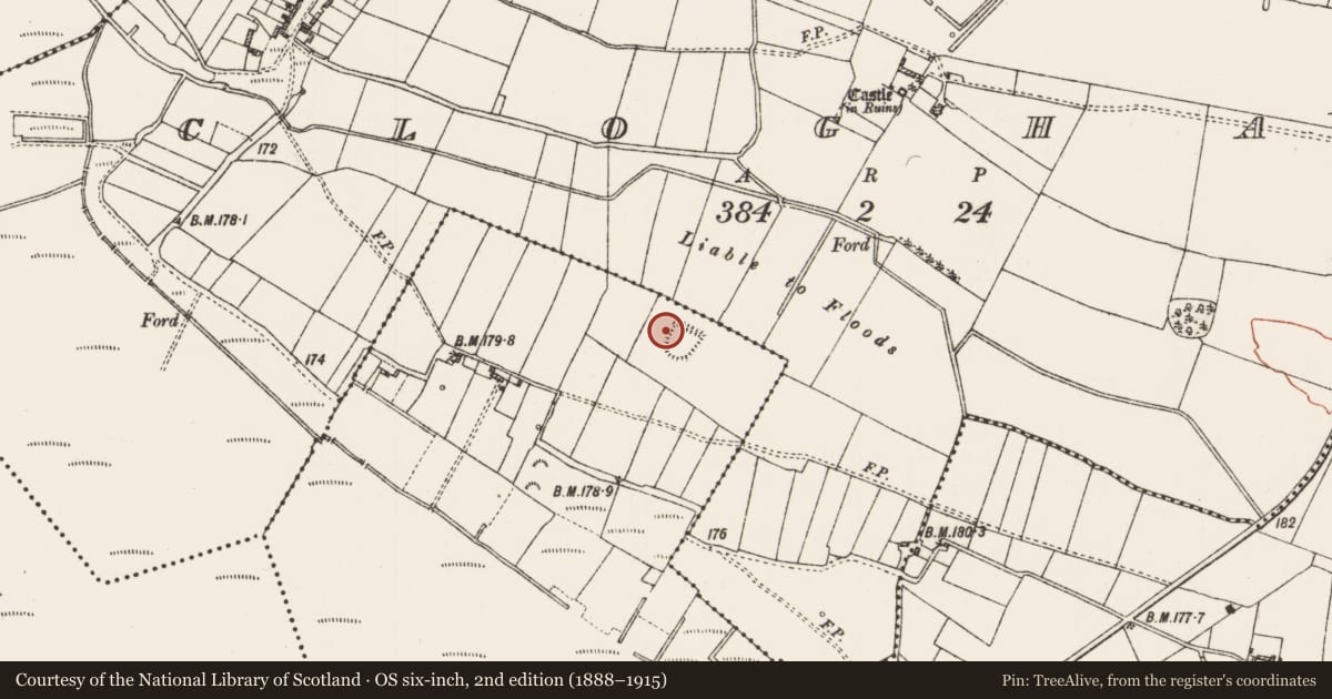 Ordnance Survey six-inch map, 2nd edition (1888–1915) covering the location of Ecclesiastical enclosure, Cloghan, Curraghadoon, County Roscommon, with a pin at the register's coordinates