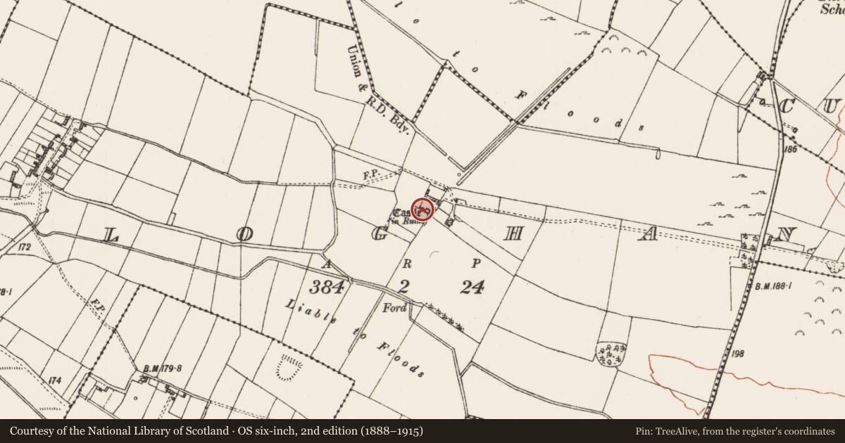 Ordnance Survey six-inch map, 2nd edition (1888–1915) covering the location of Castle - tower house, Cloghan, County Roscommon, with a pin at the register's coordinates