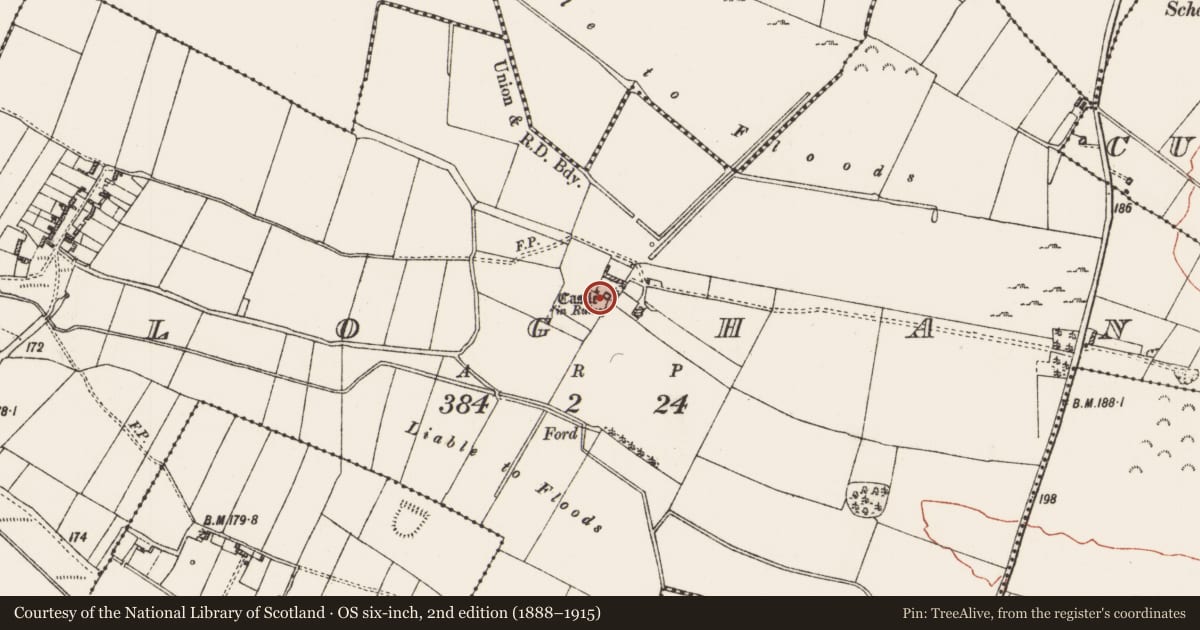 Ordnance Survey six-inch map, 2nd edition (1888–1915) covering the location of Sheela-na-gig, Cloghan, County Roscommon, with a pin at the register's coordinates