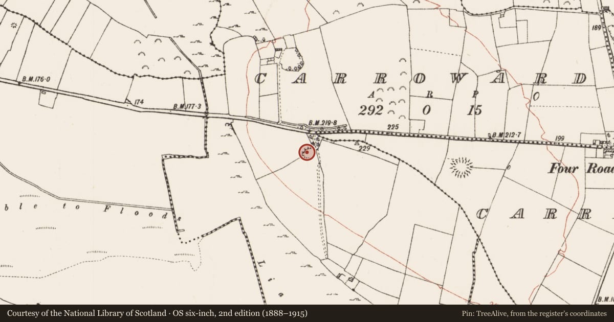 Ordnance Survey six-inch map, 2nd edition (1888–1915) covering the location of Ringfort - rath, Carroward, County Roscommon, with a pin at the register's coordinates