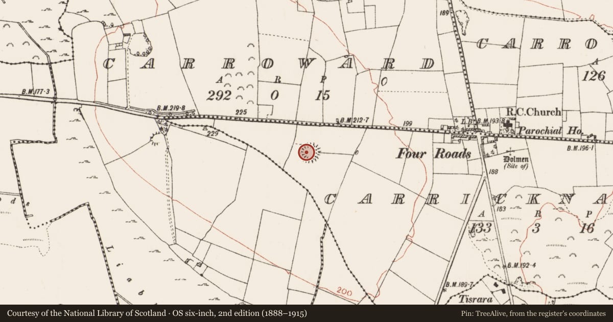 Ordnance Survey six-inch map, 2nd edition (1888–1915) covering the location of Ringfort - rath, Carricknagat, County Roscommon, with a pin at the register's coordinates