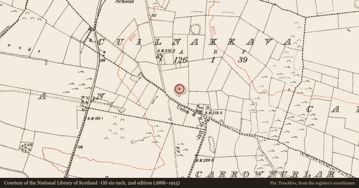 Ordnance Survey six-inch map, 2nd edition (1888–1915) covering the location of Ringfort - rath, Cuilnakeava, County Roscommon, with a pin at the register's coordinates