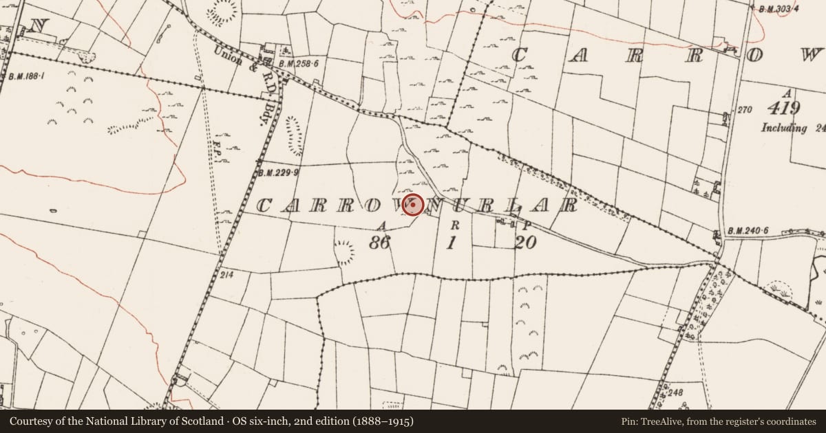 Ordnance Survey six-inch map, 2nd edition (1888–1915) covering the location of Field boundary, Carrownurlar, County Roscommon, with a pin at the register's coordinates