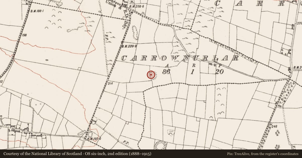 Ordnance Survey six-inch map, 2nd edition (1888–1915) covering the location of Ringfort - rath, Carrownurlar, County Roscommon, with a pin at the register's coordinates