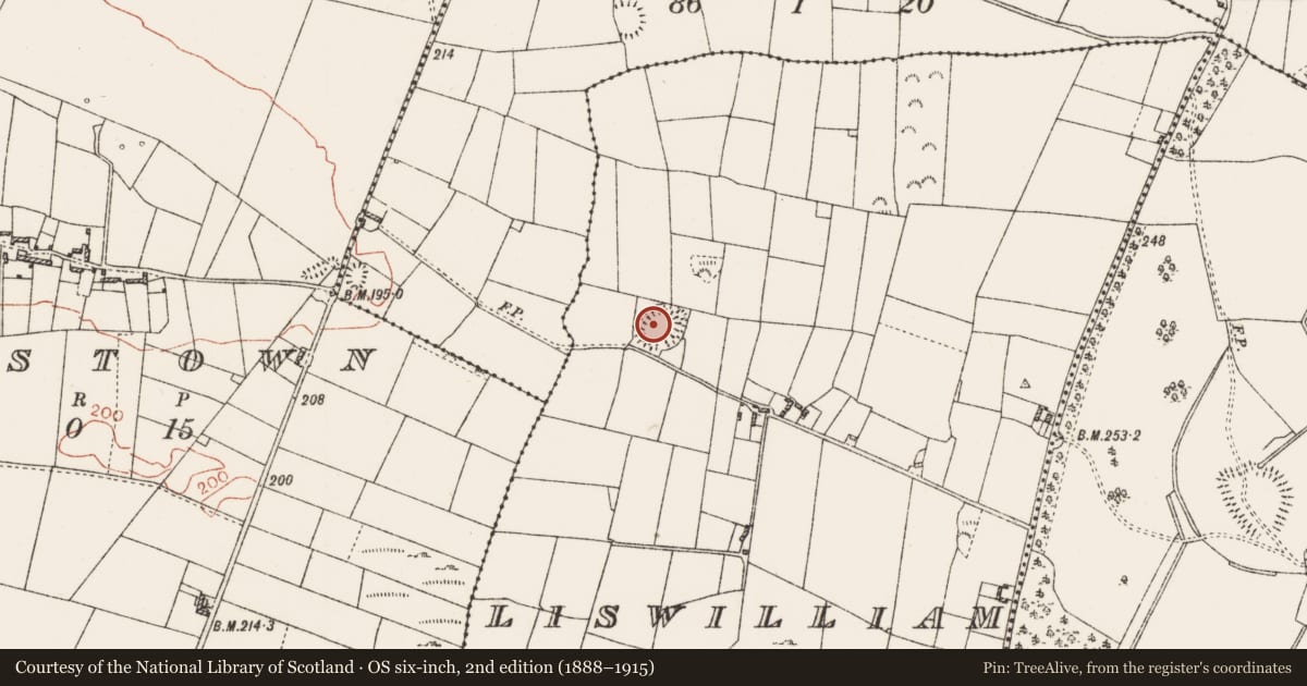Ordnance Survey six-inch map, 2nd edition (1888–1915) covering the location of Ringfort - rath, Liswilliam, County Roscommon, with a pin at the register's coordinates