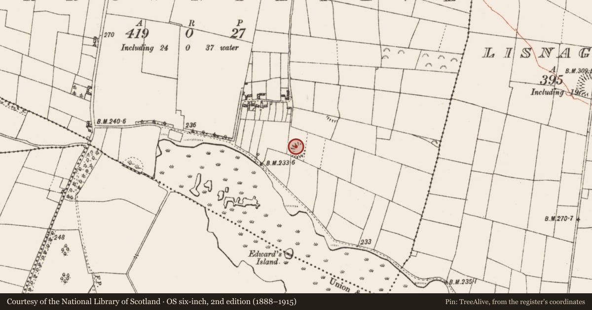 Ordnance Survey six-inch map, 2nd edition (1888–1915) covering the location of Ringfort - rath, Carrowntlieve, County Roscommon, with a pin at the register's coordinates