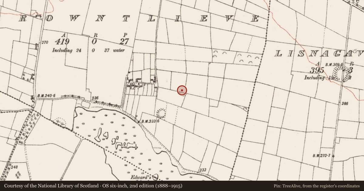Ordnance Survey six-inch map, 2nd edition (1888–1915) covering the location of Ringfort - rath, Carrowntlieve, County Roscommon, with a pin at the register's coordinates