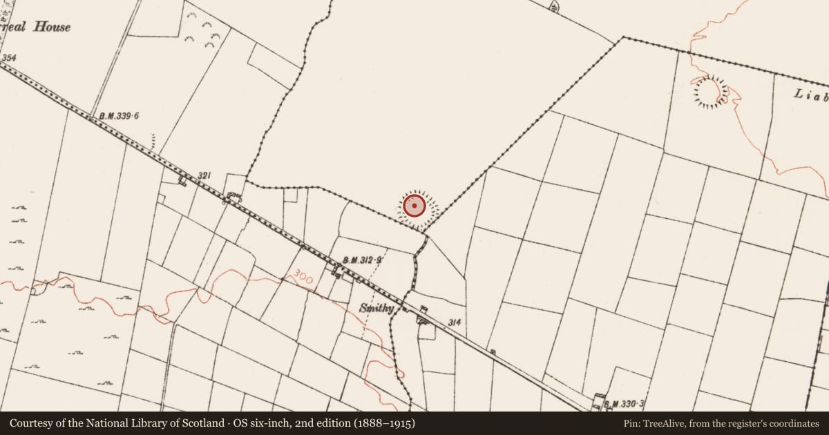 Ordnance Survey six-inch map, 2nd edition (1888–1915) covering the location of Enclosure - large enclosure, Funshinagh (Trench), County Roscommon, with a pin at the register's coordinates