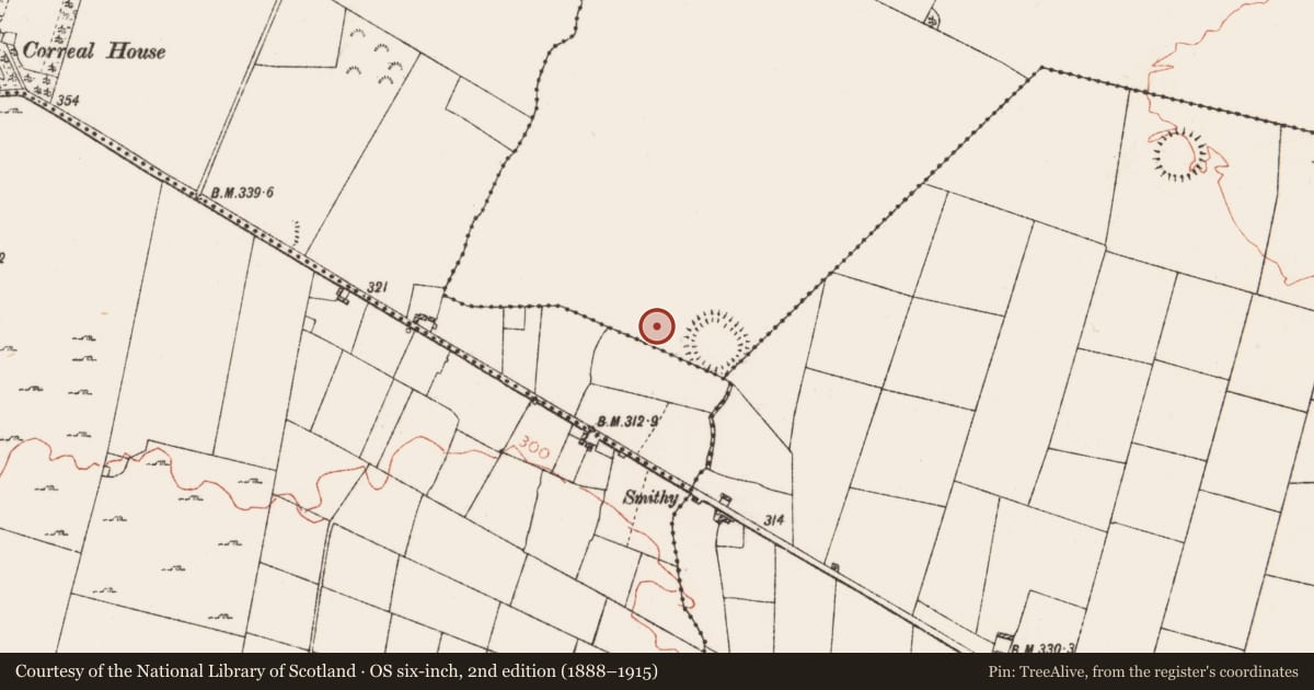Ordnance Survey six-inch map, 2nd edition (1888–1915) covering the location of Enclosure, Funshinagh (Trench), County Roscommon, with a pin at the register's coordinates