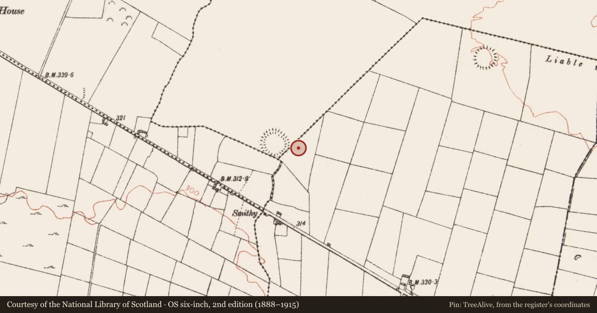 Ordnance Survey six-inch map, 2nd edition (1888–1915) covering the location of Ringfort - rath, Lisnagavragh, County Roscommon, with a pin at the register's coordinates