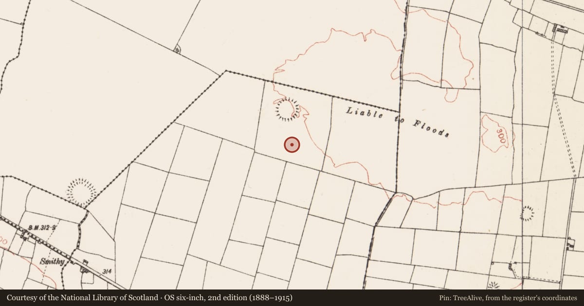 Ordnance Survey six-inch map, 2nd edition (1888–1915) covering the location of Enclosure, Lisnagavragh, County Roscommon, with a pin at the register's coordinates