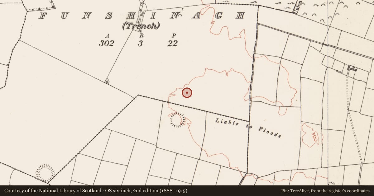 Ordnance Survey six-inch map, 2nd edition (1888–1915) covering the location of Field system, Funshinagh (Trench), County Roscommon, with a pin at the register's coordinates