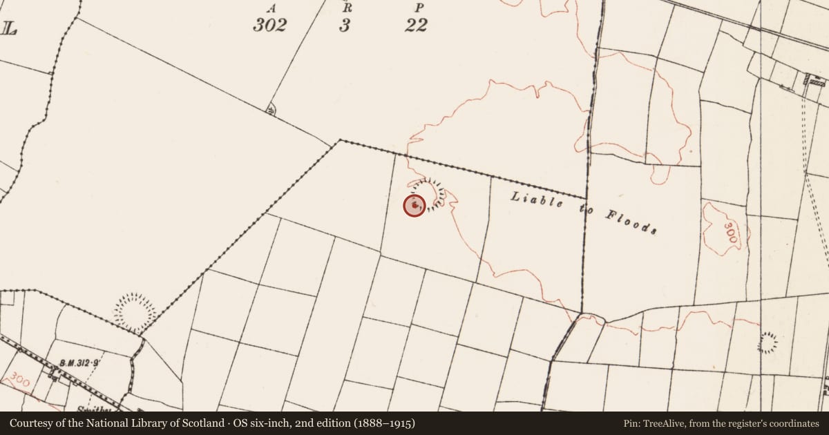 Ordnance Survey six-inch map, 2nd edition (1888–1915) covering the location of Field system, Lisnagavragh, County Roscommon, with a pin at the register's coordinates