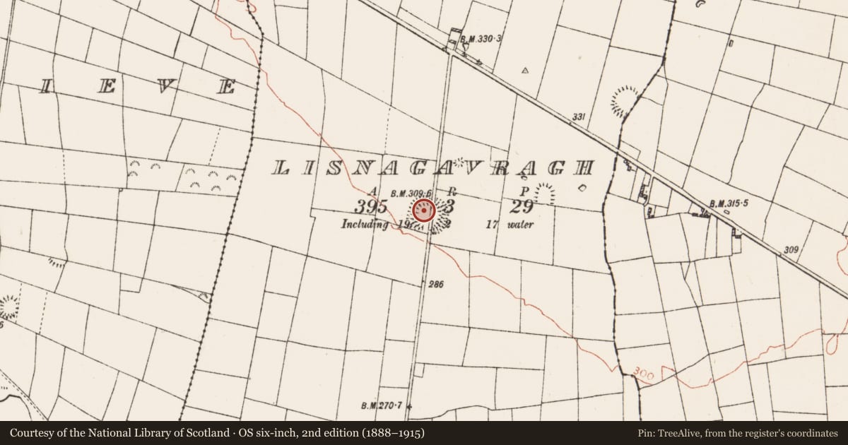 Ordnance Survey six-inch map, 2nd edition (1888–1915) covering the location of Ringfort - rath, Lisnagavragh, County Roscommon, with a pin at the register's coordinates