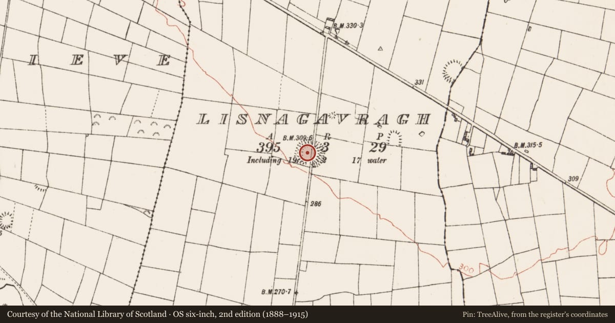 Ordnance Survey six-inch map, 2nd edition (1888–1915) covering the location of House - indeterminate date, Lisnagavragh, County Roscommon, with a pin at the register's coordinates