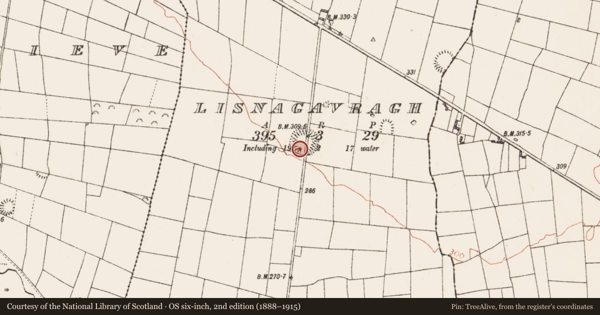Ordnance Survey six-inch map, 2nd edition (1888–1915) covering the location of House - indeterminate date, Lisnagavragh, County Roscommon, with a pin at the register's coordinates