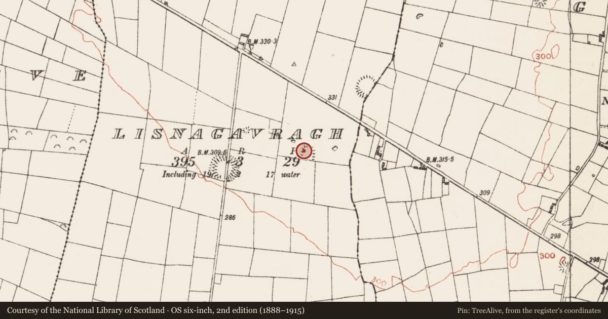 Ordnance Survey six-inch map, 2nd edition (1888–1915) covering the location of Ringfort - rath, Lisnagavragh, County Roscommon, with a pin at the register's coordinates