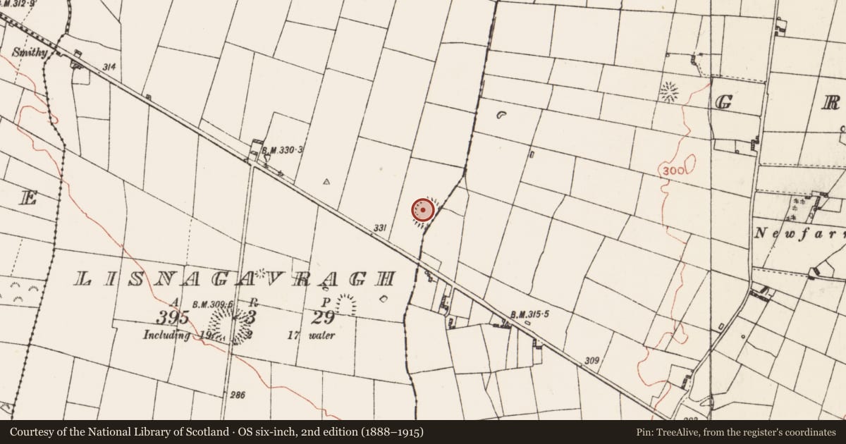 Ordnance Survey six-inch map, 2nd edition (1888–1915) covering the location of Ringfort - rath, Grange, Lisnagavragh, County Roscommon, with a pin at the register's coordinates