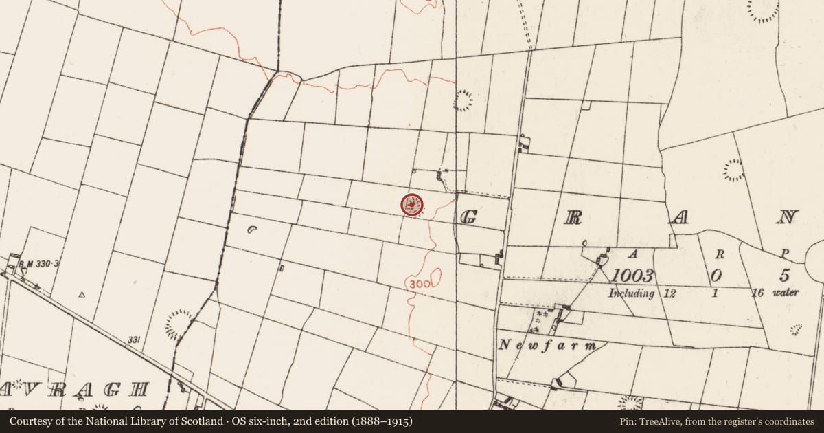 Ordnance Survey six-inch map, 2nd edition (1888–1915) covering the location of Ringfort - rath, Grange, County Roscommon, with a pin at the register's coordinates