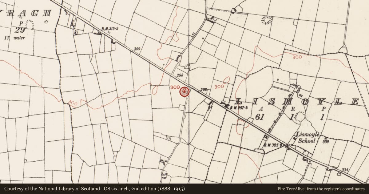 Ordnance Survey six-inch map, 2nd edition (1888–1915) covering the location of Barrow - ring-barrow, Grange, County Roscommon, with a pin at the register's coordinates