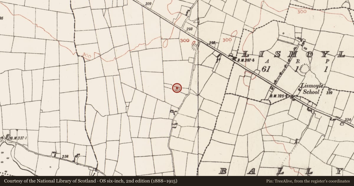 Ordnance Survey six-inch map, 2nd edition (1888–1915) covering the location of Barrow - ring-barrow, Grange, County Roscommon, with a pin at the register's coordinates