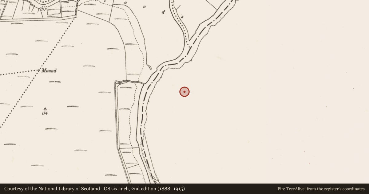 Ordnance Survey six-inch map, 2nd edition (1888–1915) covering the location of Promontory fort - inland, Creeharmore, County Roscommon, with a pin at the register's coordinates