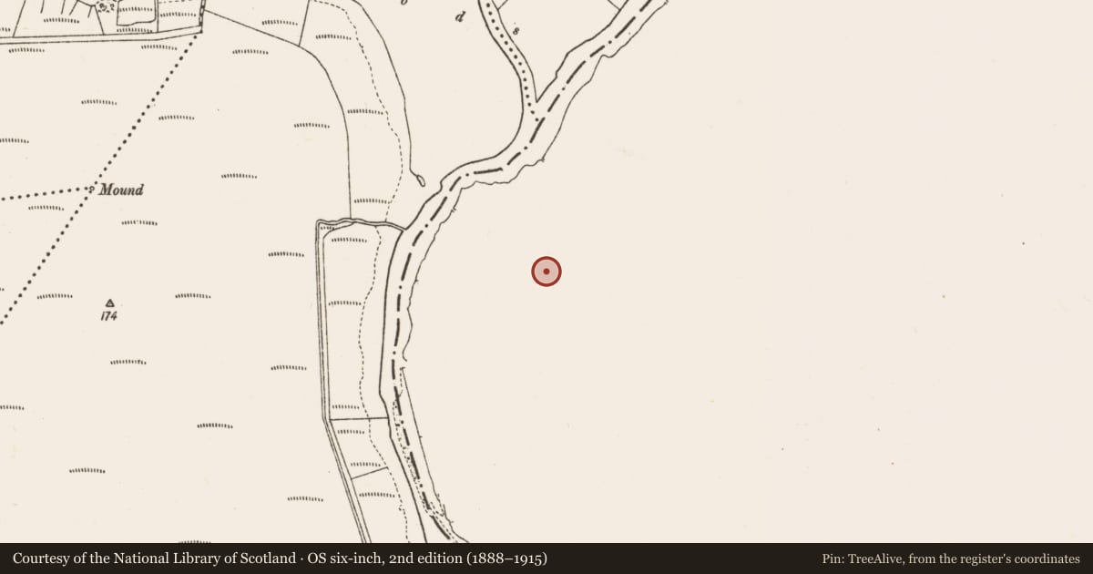 Ordnance Survey six-inch map, 2nd edition (1888–1915) covering the location of House - indeterminate date, Creeharmore, County Roscommon, with a pin at the register's coordinates