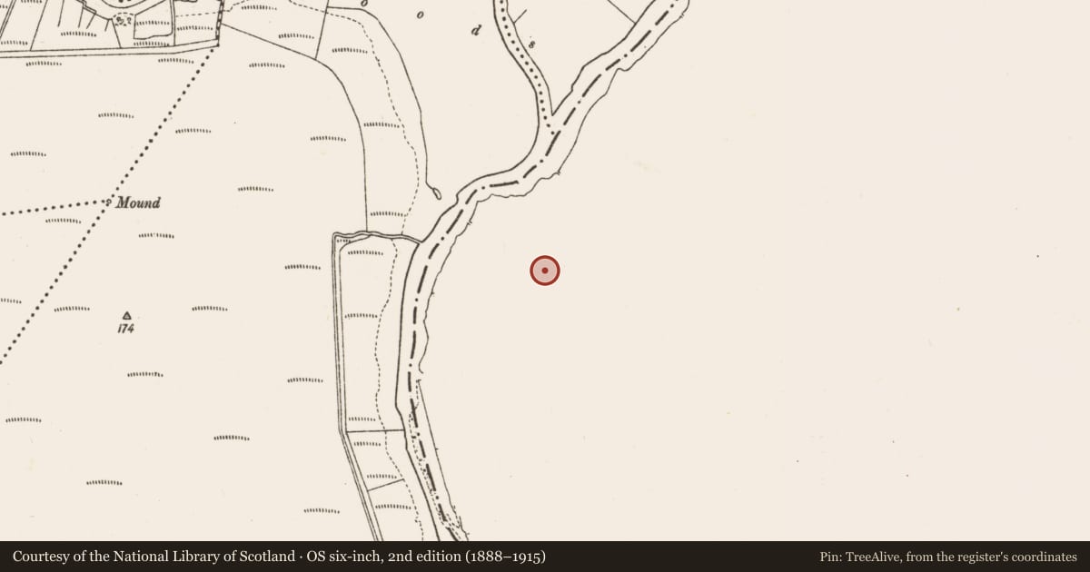 Ordnance Survey six-inch map, 2nd edition (1888–1915) covering the location of Enclosure, Creeharmore, County Roscommon, with a pin at the register's coordinates