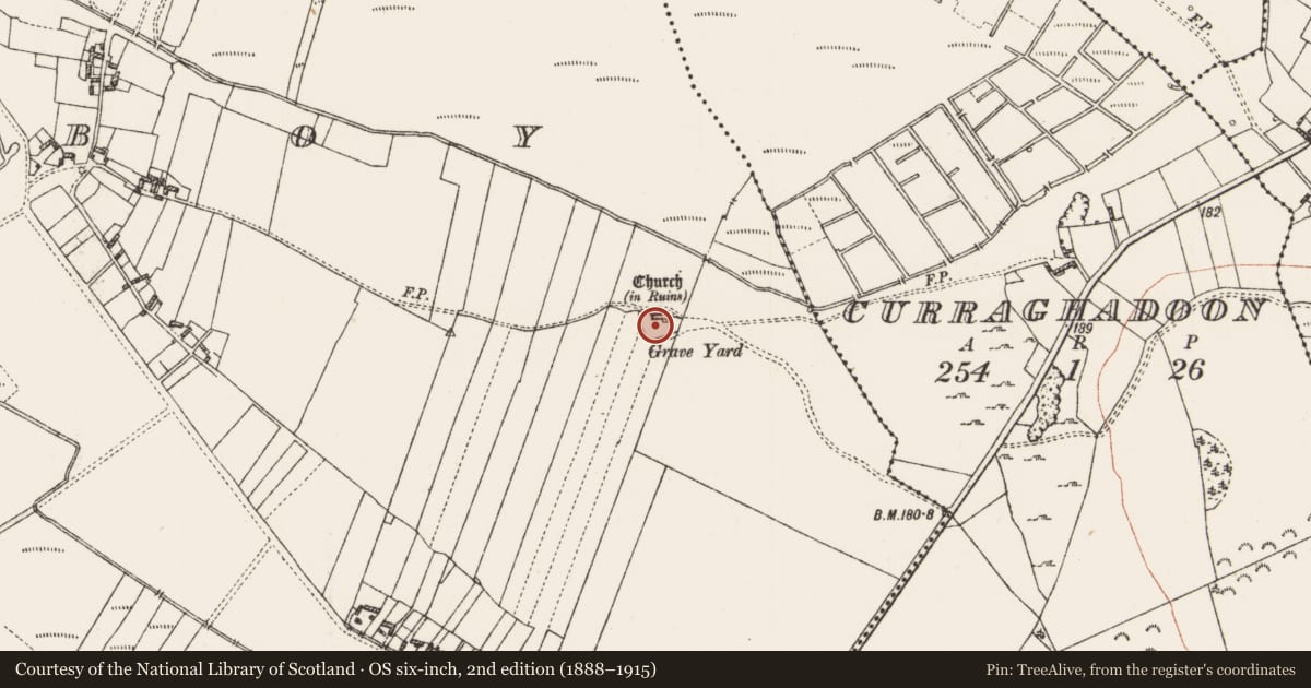Ordnance Survey six-inch map, 2nd edition (1888–1915) covering the location of Graveyard, Taghboy, County Roscommon, with a pin at the register's coordinates