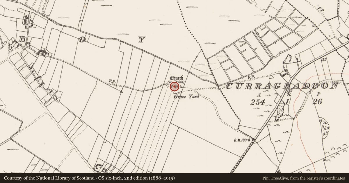 Ordnance Survey six-inch map, 2nd edition (1888–1915) covering the location of Sheela-na-gig, Taghboy, County Roscommon, with a pin at the register's coordinates