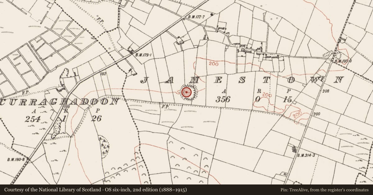 Ordnance Survey six-inch map, 2nd edition (1888–1915) covering the location of Ringfort - rath, Jamestown, County Roscommon, with a pin at the register's coordinates