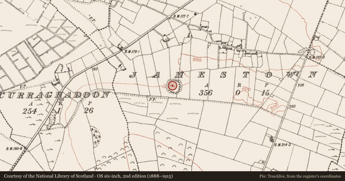 Ordnance Survey six-inch map, 2nd edition (1888–1915) covering the location of House - indeterminate date, Jamestown, County Roscommon, with a pin at the register's coordinates