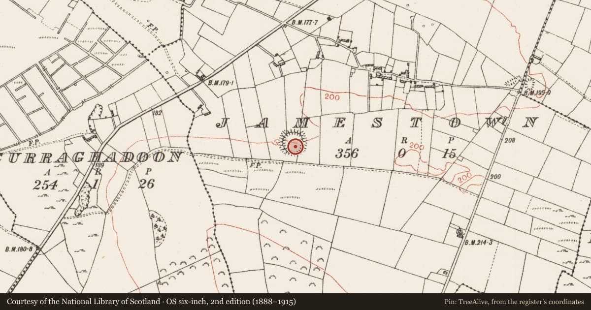 Ordnance Survey six-inch map, 2nd edition (1888–1915) covering the location of House - indeterminate date, Jamestown, County Roscommon, with a pin at the register's coordinates