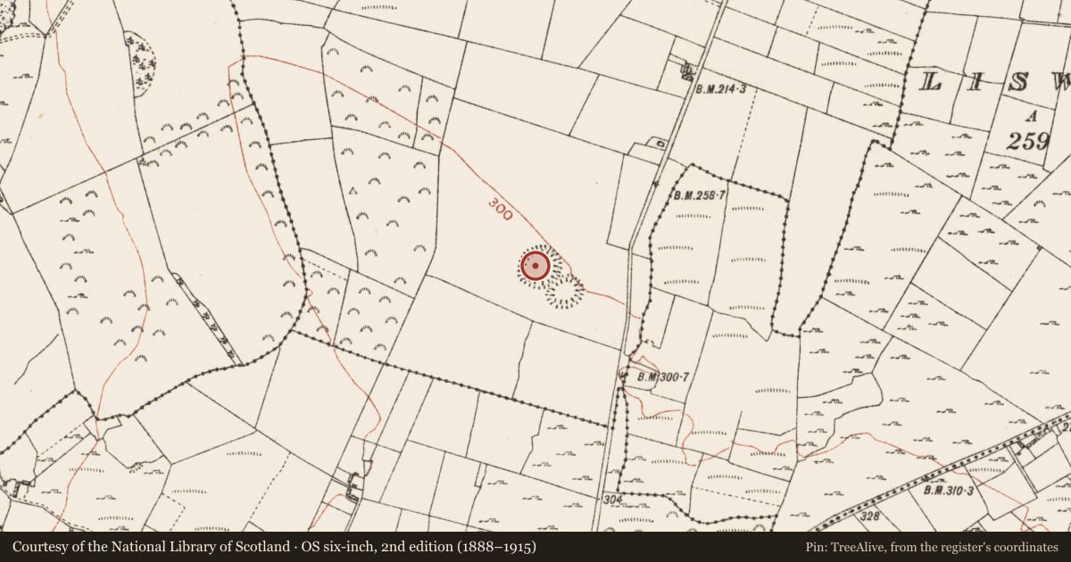 Ordnance Survey six-inch map, 2nd edition (1888–1915) covering the location of Ringfort - rath, Jamestown, County Roscommon, with a pin at the register's coordinates