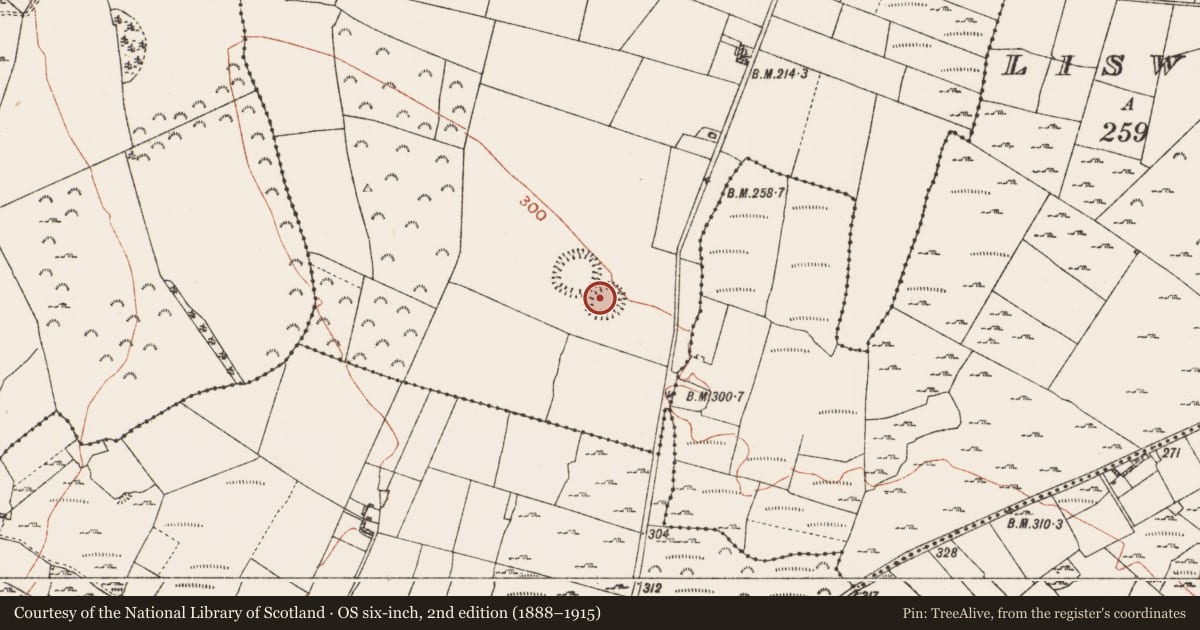 Ordnance Survey six-inch map, 2nd edition (1888–1915) covering the location of Ringfort - rath, Jamestown, County Roscommon, with a pin at the register's coordinates