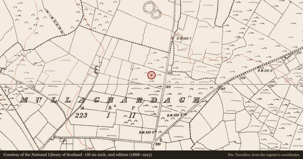 Ordnance Survey six-inch map, 2nd edition (1888–1915) covering the location of Field system, Mullaghardagh, County Roscommon, with a pin at the register's coordinates