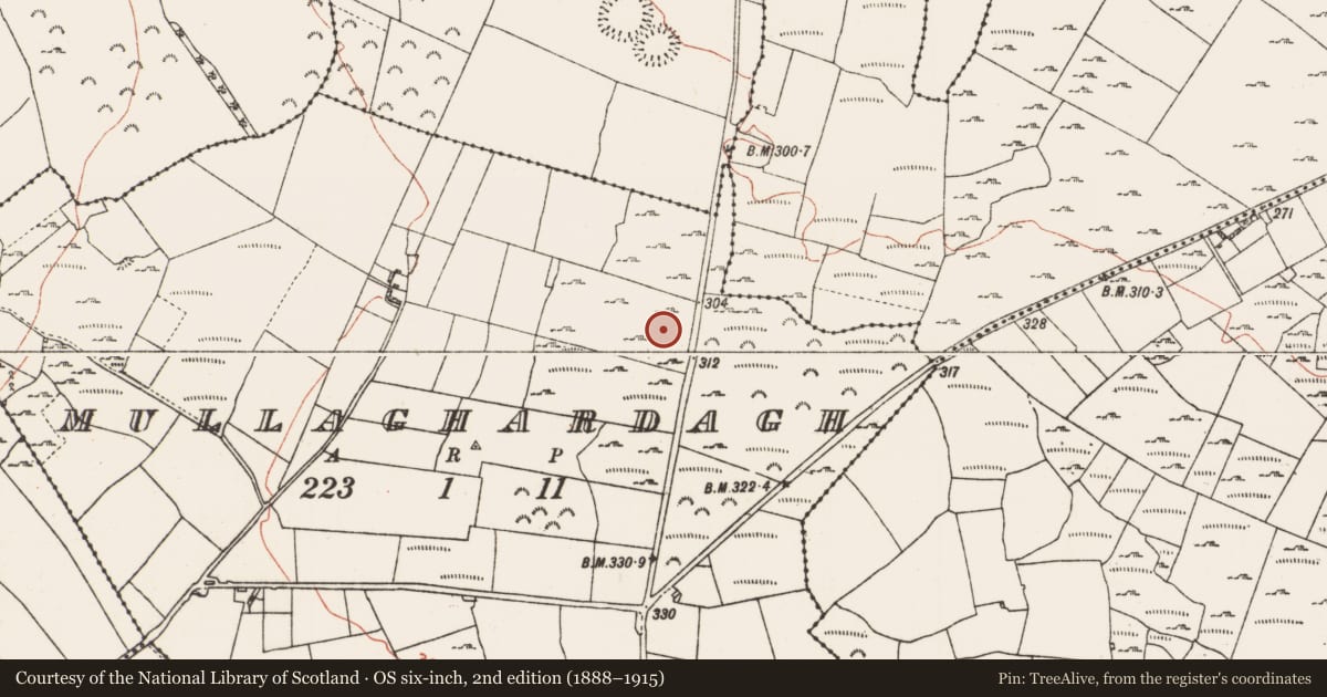 Ordnance Survey six-inch map, 2nd edition (1888–1915) covering the location of House - indeterminate date, Mullaghardagh, County Roscommon, with a pin at the register's coordinates