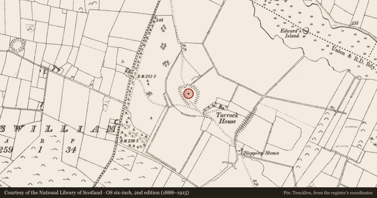 Ordnance Survey six-inch map, 2nd edition (1888–1915) covering the location of Children's burial ground, Turrock, County Roscommon, with a pin at the register's coordinates