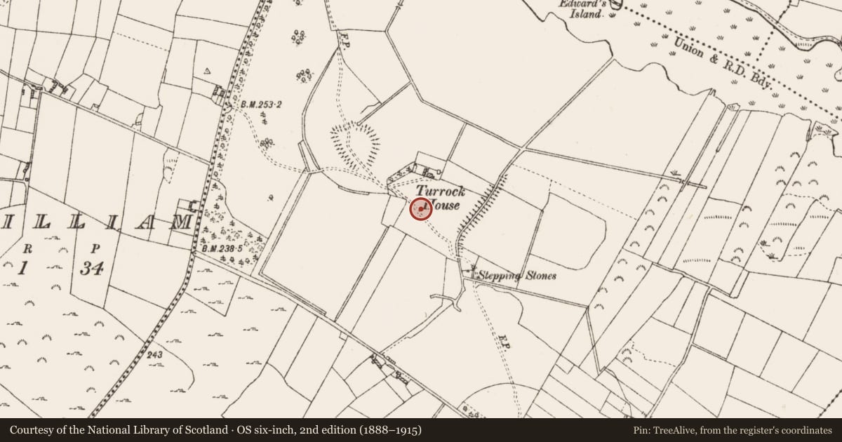 Ordnance Survey six-inch map, 2nd edition (1888–1915) covering the location of Enclosure, Turrock, County Roscommon, with a pin at the register's coordinates