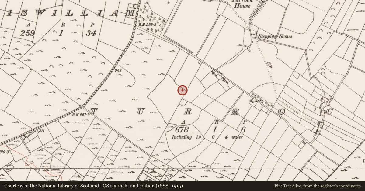 Ordnance Survey six-inch map, 2nd edition (1888–1915) covering the location of Enclosure - large enclosure, Turrock, County Roscommon, with a pin at the register's coordinates