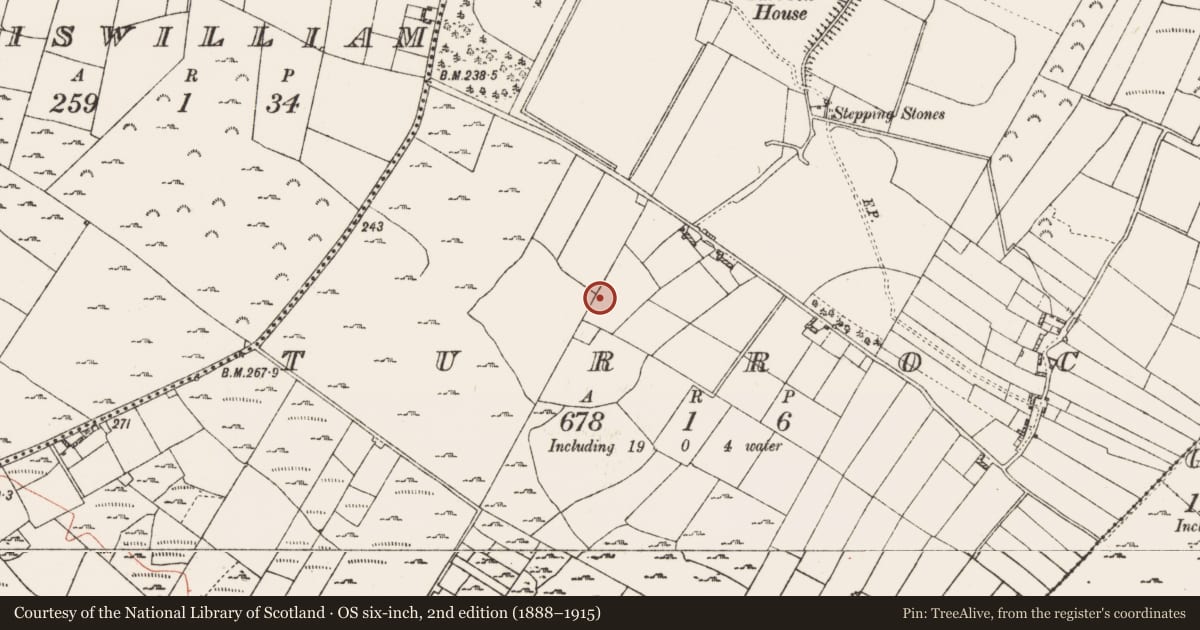 Ordnance Survey six-inch map, 2nd edition (1888–1915) covering the location of Children's burial ground, Turrock, County Roscommon, with a pin at the register's coordinates
