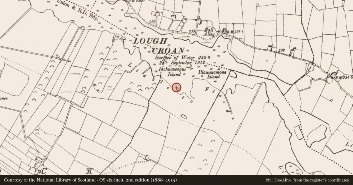 Ordnance Survey six-inch map, 2nd edition (1888–1915) covering the location of Crannog, Garrynphort, County Roscommon, with a pin at the register's coordinates