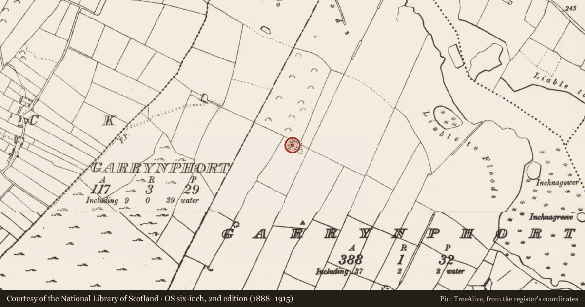 Ordnance Survey six-inch map, 2nd edition (1888–1915) covering the location of Ringfort - rath, Garrynphort, County Roscommon, with a pin at the register's coordinates