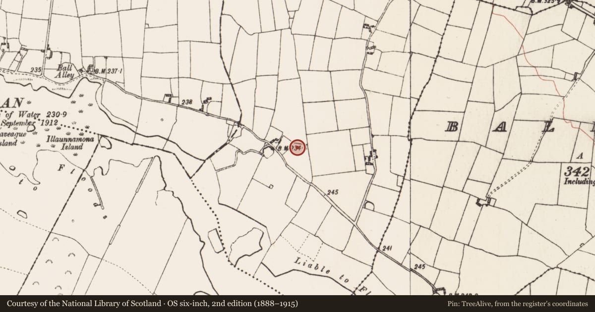 Ordnance Survey six-inch map, 2nd edition (1888–1915) covering the location of Barrow - mound barrow, Grange, County Roscommon, with a pin at the register's coordinates