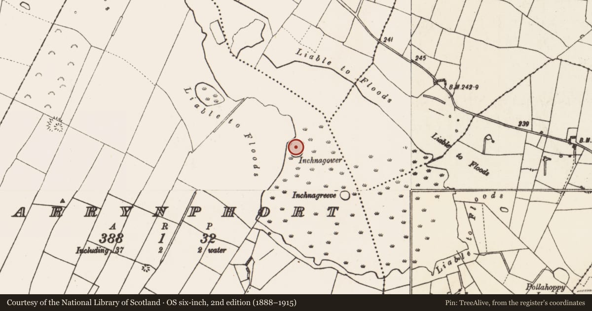 Ordnance Survey six-inch map, 2nd edition (1888–1915) covering the location of Crannog, Garrynphort, County Roscommon, with a pin at the register's coordinates